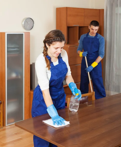 Professional cleaners cleaning furniture