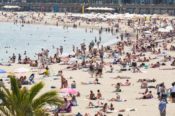 People sunbathing at beach in Barcelona