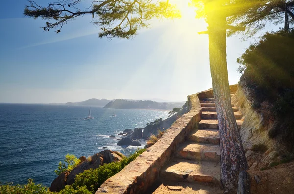 View of beach Costa Brava Catalonia Spain