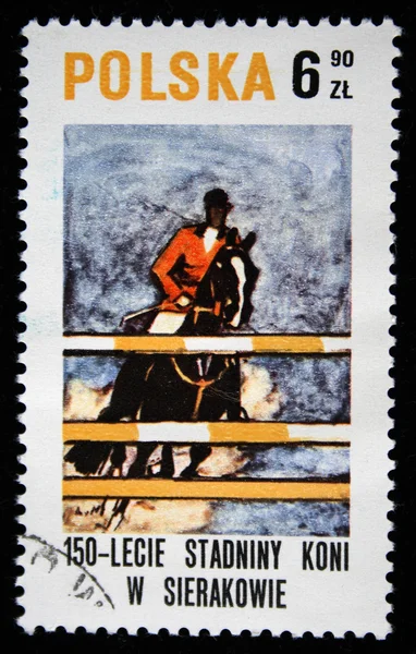 POLAND - CIRCA 1972: A stamp printed in Poland dedicated to Polish horse riding, shows Rider during the November uprising, 1831, circa 1972