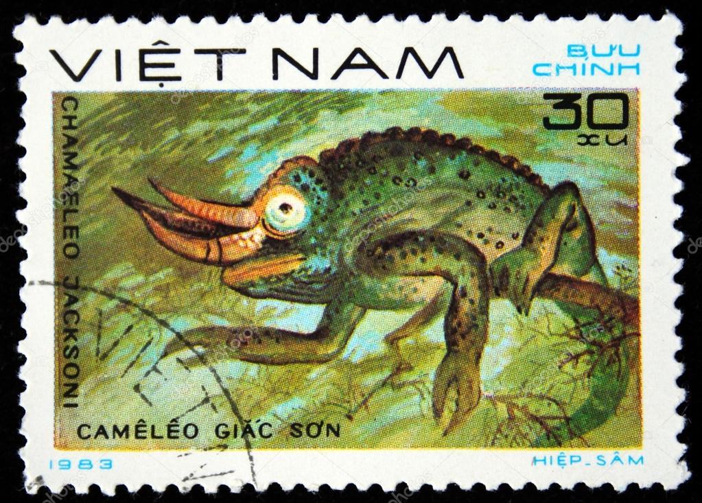 Caza En Vietnam [1983]