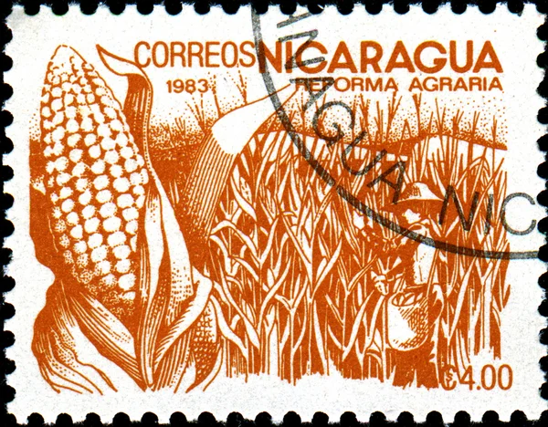 Agrarian Reform. Maize