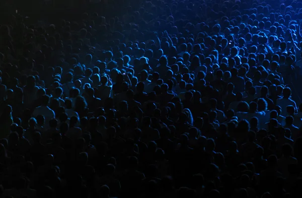 Cheering crowd in a concert hall