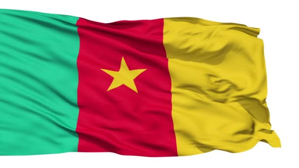 挥舞着国旗的喀麦隆 - 图库视频影像 fckncg #1