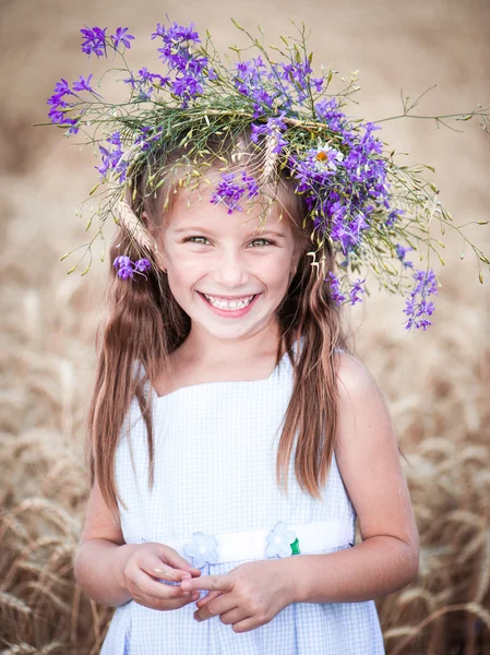 Beautiful little girl in a field of wheat