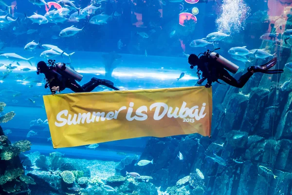 Aquarium of the world in Dubai Mall