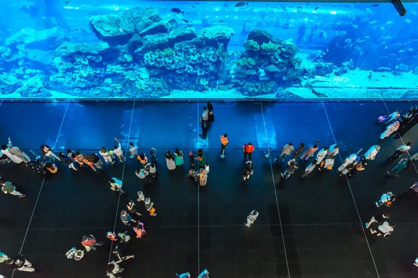 Largest aquarium of the world