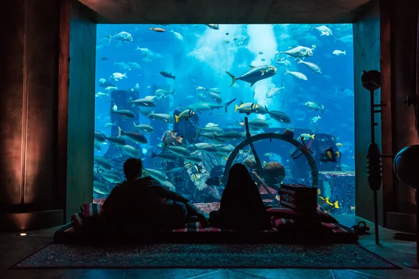 Huge aquarium in a hotel Atlantis in Dubai on the Palm islands