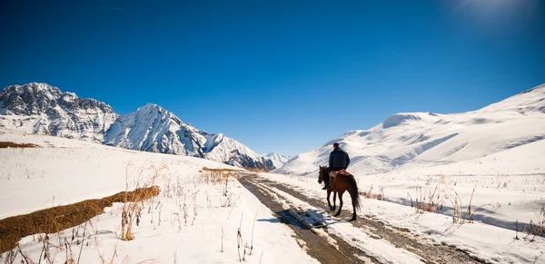 A man on a horse in the mountains