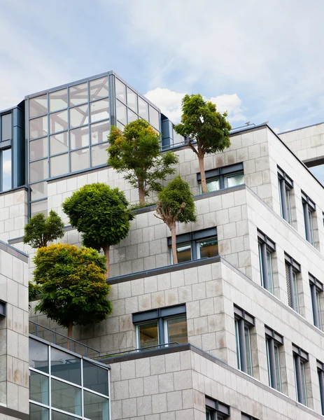 Trees growing on a roof of the business center