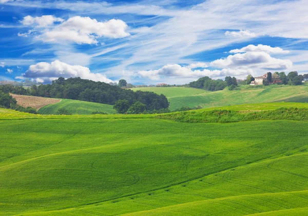 Green hills of Tuscany