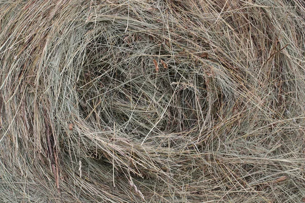 Making hay