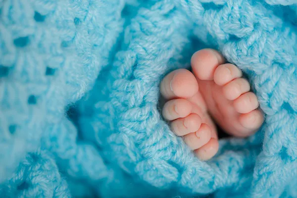 Baby legs. Legs newborn in knitted blanket.