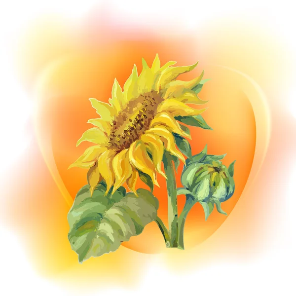 Sunflower background