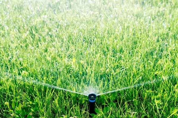 Water sprinkler