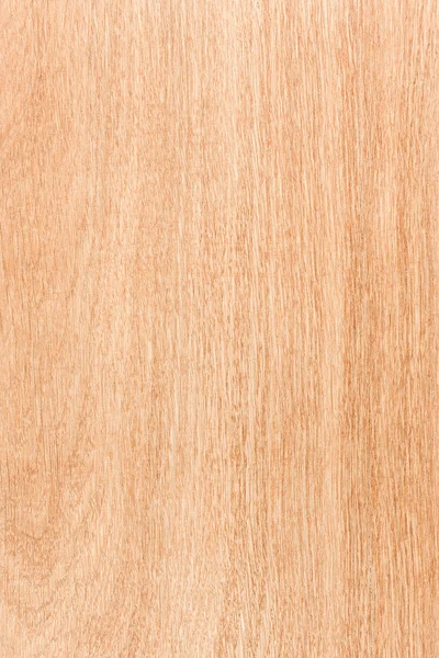 Maple wood texture