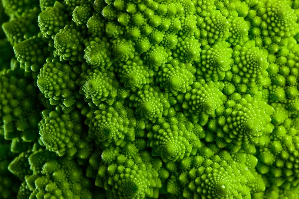 Romanesco broccoli cabbage marco — Stock Photo #17473837