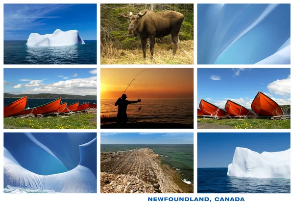 Newfoundland Canada Landscapes Collage Postcard
