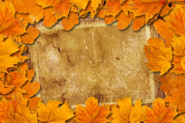 Bright fallen autumn leaves on the old paper background