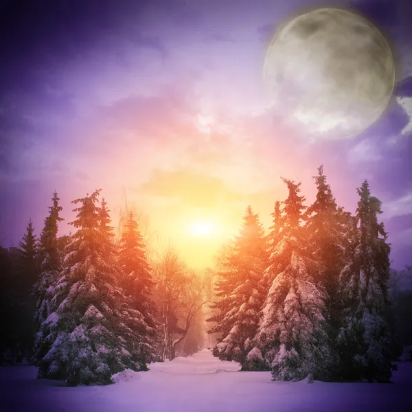 Beautiful winter landscape with Christmass trees