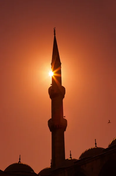 Blue mosque in Istanbul Turkey at sunset