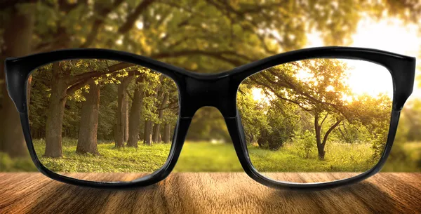 Clear forest in glasses