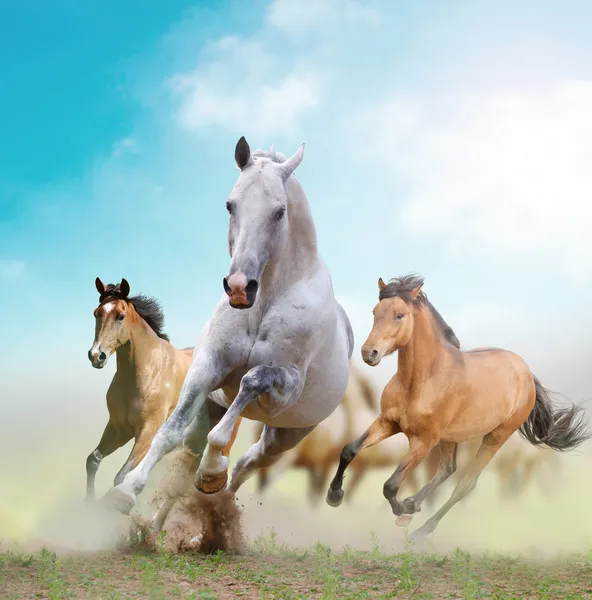 рисунок графика лошадь природа животные figure graphics horse nature animals в хорошем качестве №3925609 рисунок графика лошадь природа животные figure graphics horse nature animals № 3925608 бесплатно
