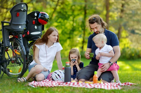 Happy family of four having a picnic