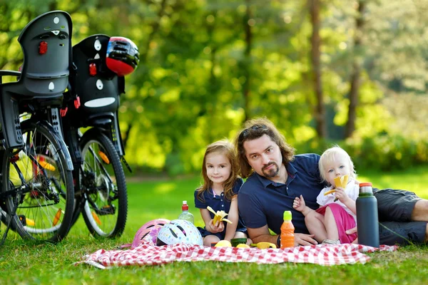 Young father and his daughters having a picnic