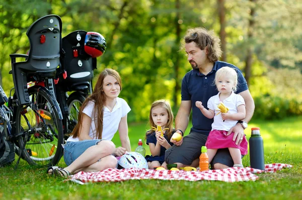 Happy family of four having a picnic