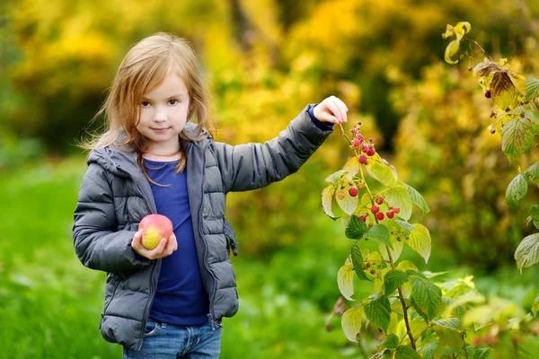 Little   girl picking raspberries