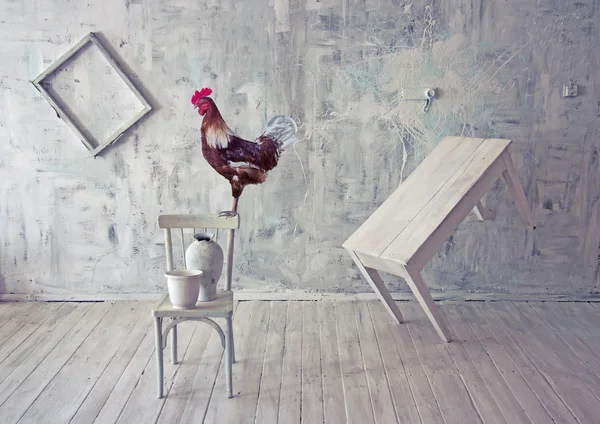 Surreal white interior with red rooster.