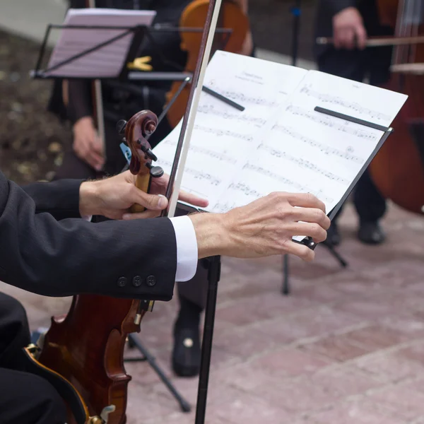 Classical music concert outdoors.