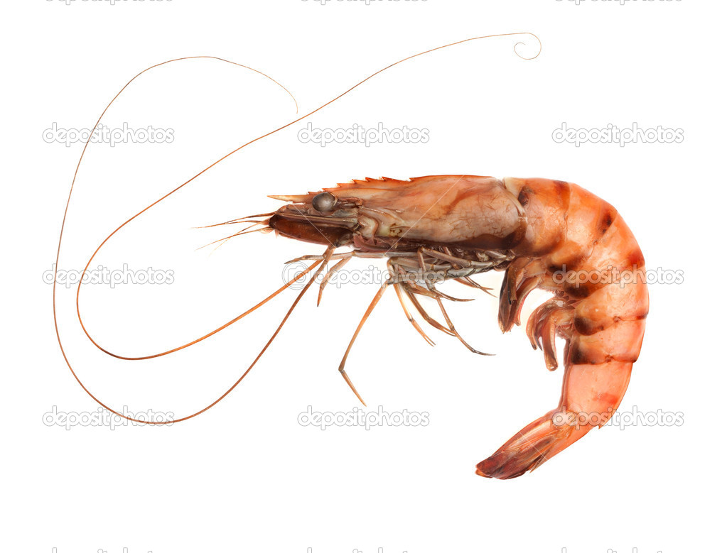 Boiled Prawns