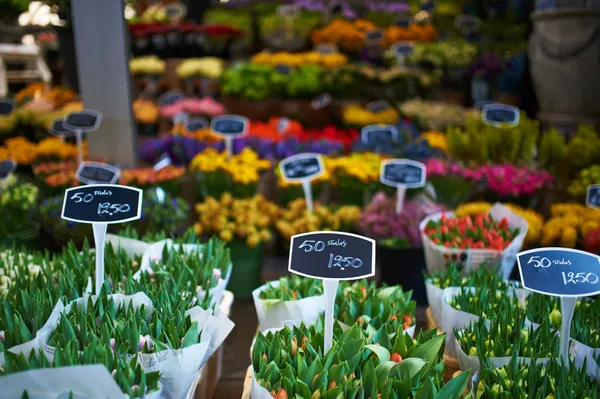 Amsterdam flower market — Stock Photo #28039477