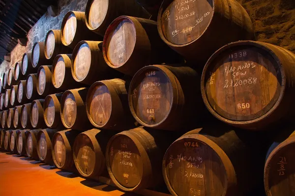 Cellar with wine barrels