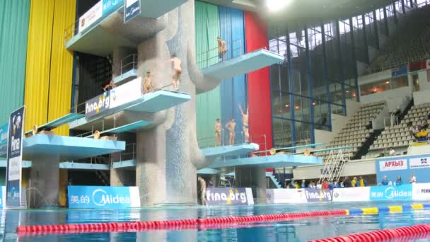 运动员准备比赛前世界国际泳联系列赛 - 图库视