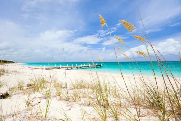 Caribbean beach and sea