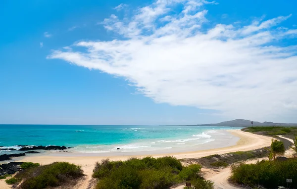 Beach on Galapagos Isabela island, Ecuador