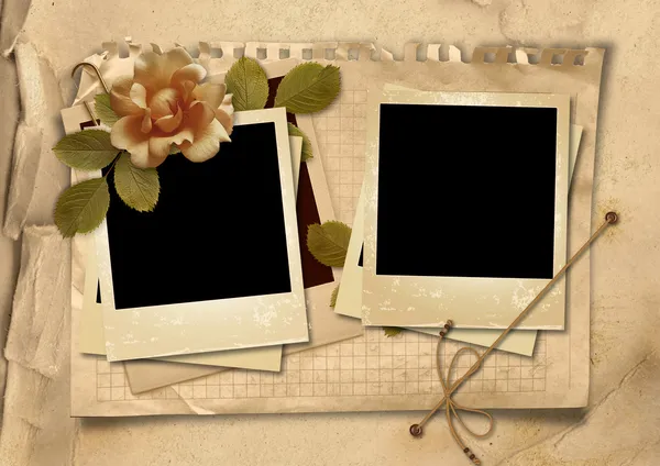 Vintage background with old polaroid frames and rose