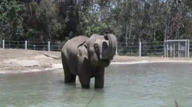 Portfolio: aragami12345 - Page 43 | Stock Pho