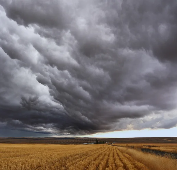 Thunderstorm above fields — Stock Photo #22362993