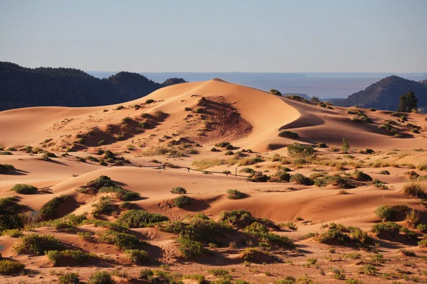 Gracefully curved sand dune