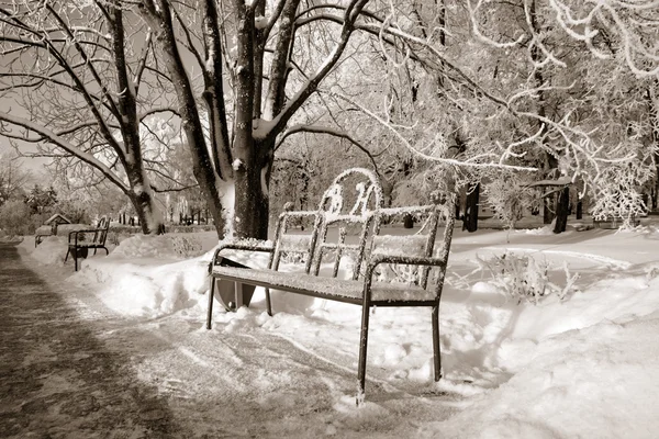 Bench in winter park, sepia