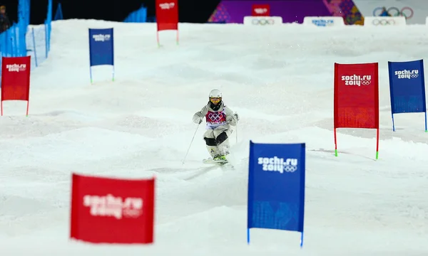 Freestyle skiing Men's Moguls Final