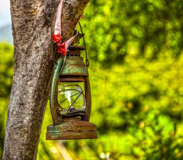 Old lantern on tree