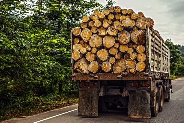 Truck transporting timber