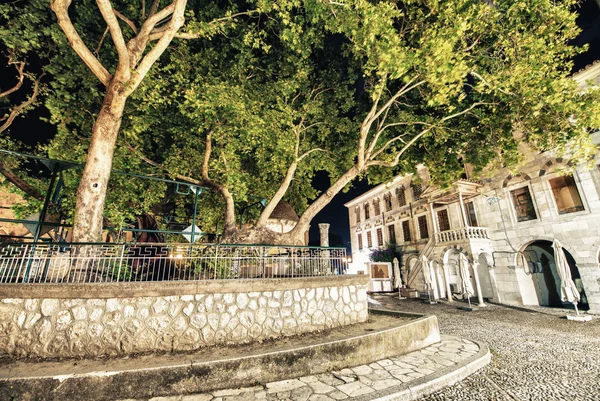 Hippocrates plane tree in Kos Island