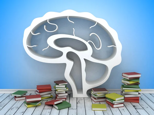 Book shelf in form of brain