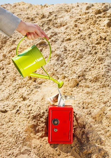 Businesswoman watering a money in safe in a desert